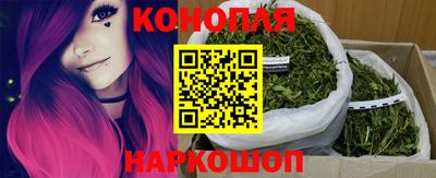 прущие крисы Дубна